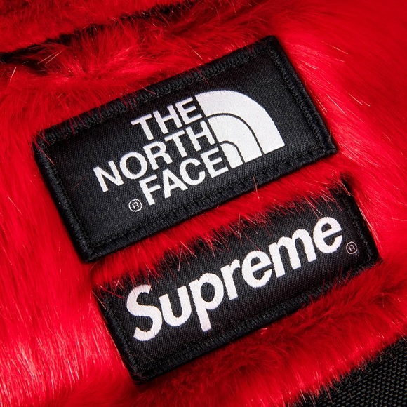 Supreme north face faux fur backpack main image 4